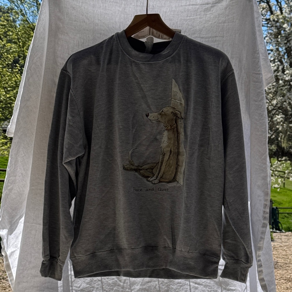 Unbranded Men's Grey Graphic Crewneck Sweatshirt - 'Peace and Quiet'